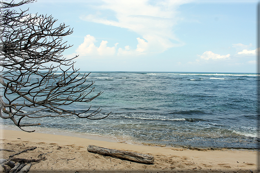 foto Spiagge dell'Isola di Oahu